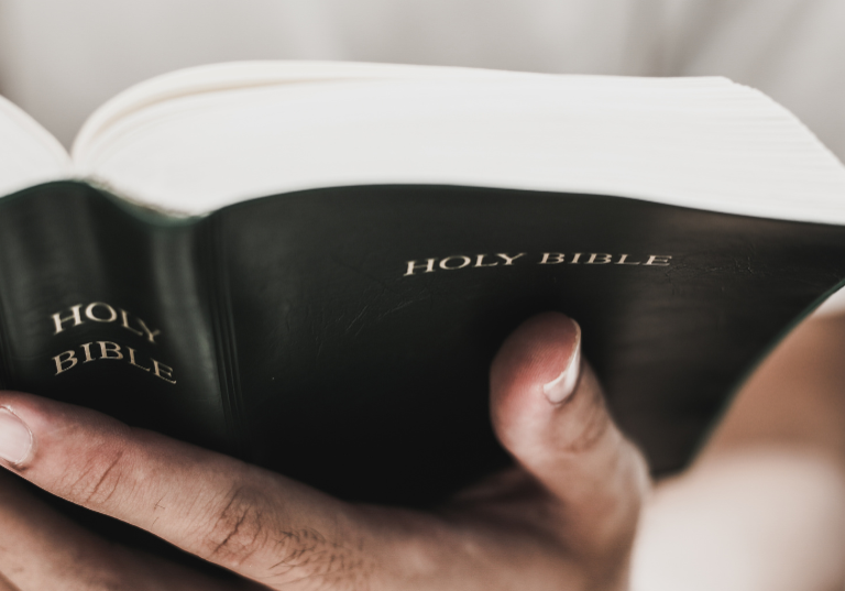 A hand holding a black colored bible